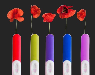 Cinco tests de embarazo de colores con flores